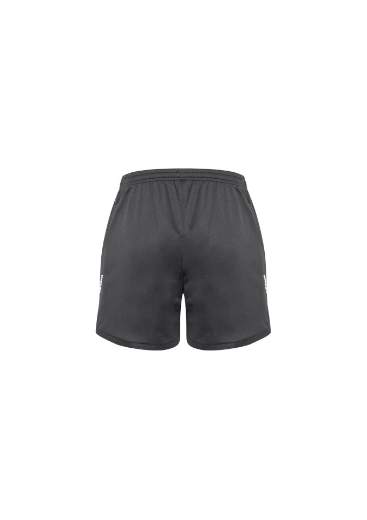 Picture of Biz Collection, Circuit Mens Shorts