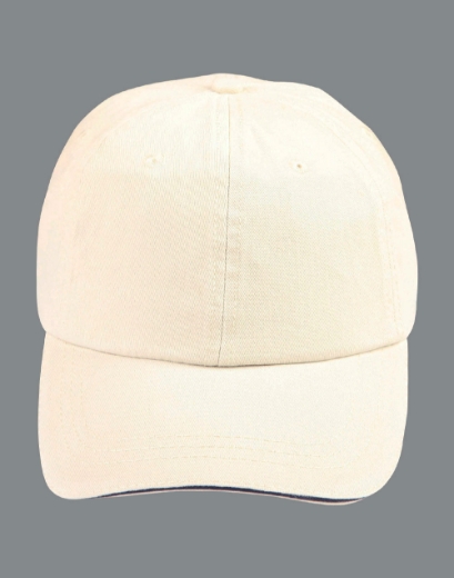 Picture of Winning Spirit, Washed polo sandwich cap