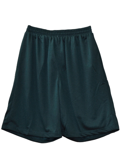 Picture of Winning Spirit, Adults Basketball Shorts