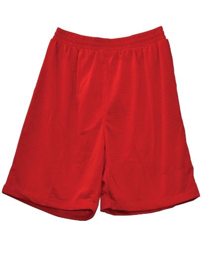 Picture of Winning Spirit, Adults Basketball Shorts