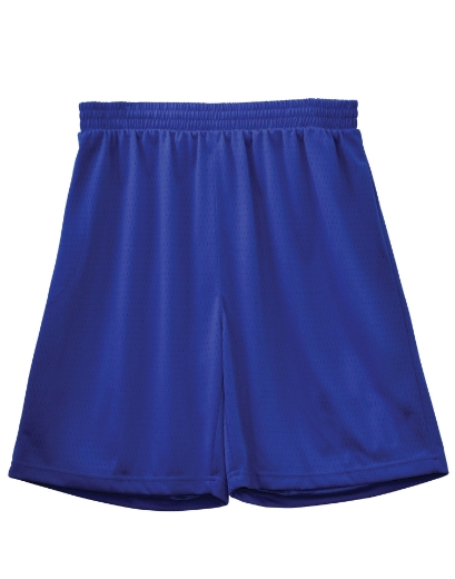 Picture of Winning Spirit, Adults Basketball Shorts