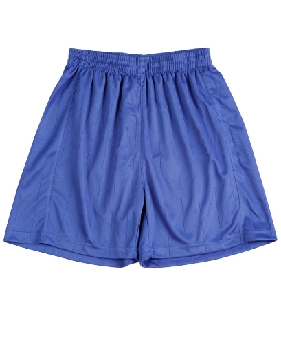 Picture of Winning Spirit, Adults Soccer Shorts