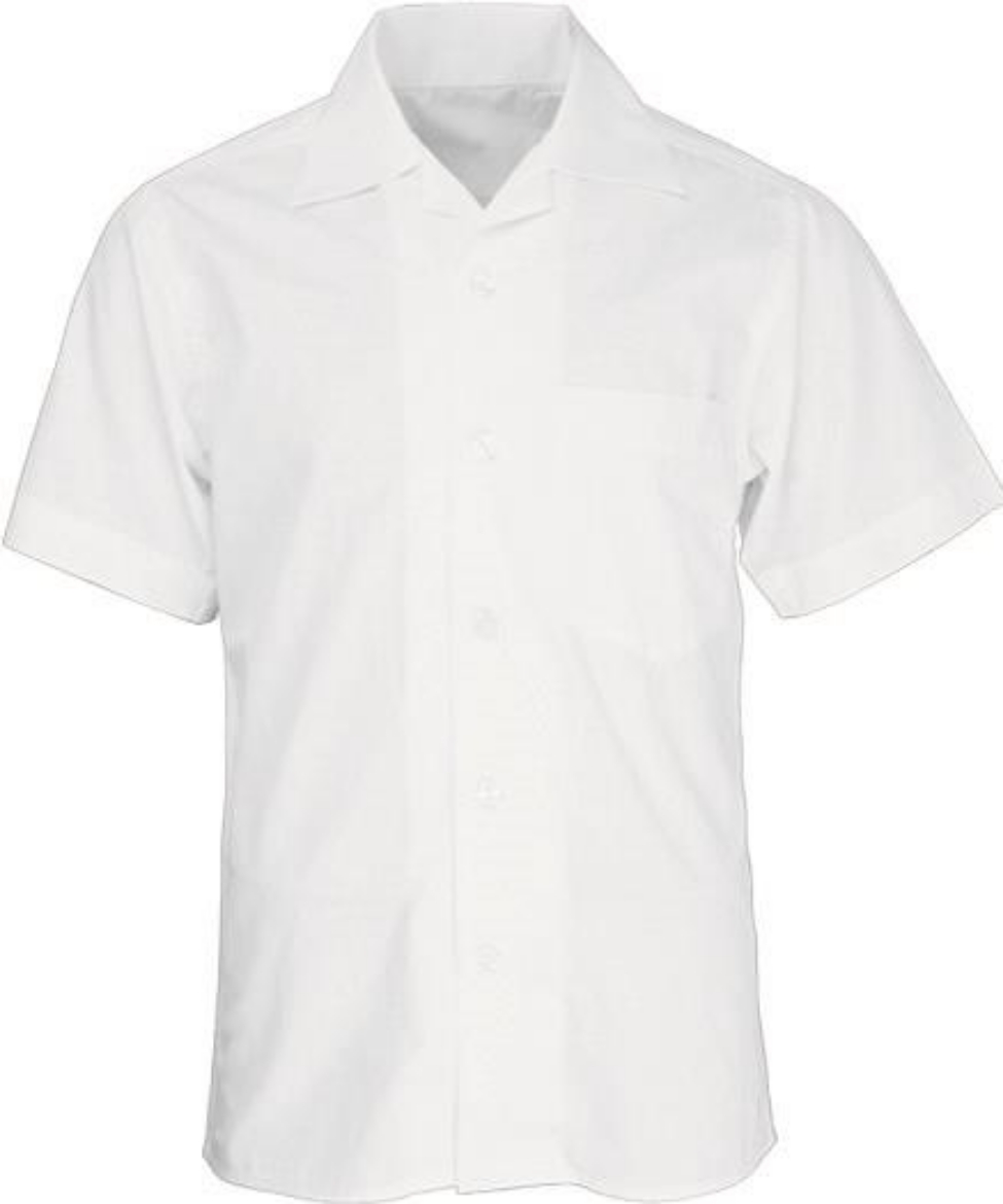 Picture of Bocini, S/S School Shirt