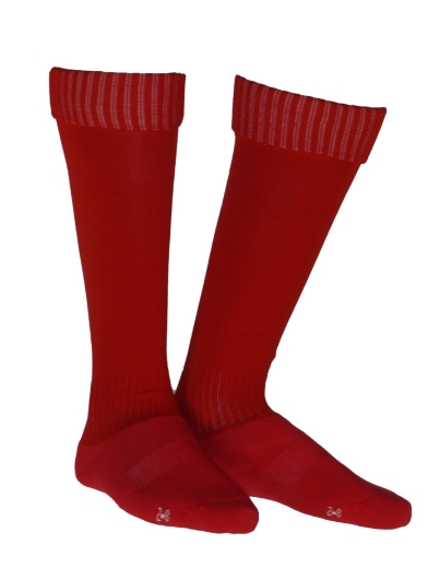 Picture of Bocini, Plain Socks