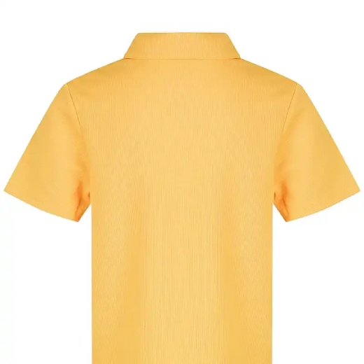 Picture of Aussie Pacific, Kids Botany Polo 