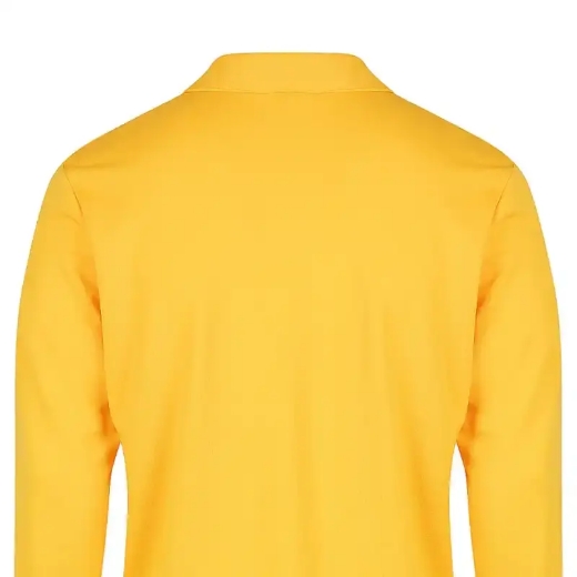 Picture of Aussie Pacific, Mens Botany L/S Polo 
