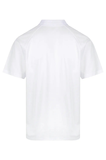 Picture of Aussie Pacific, Mens Keira Polo 