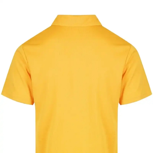 Picture of Aussie Pacific, Mens Botany Polo 
