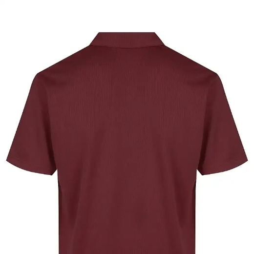 Picture of Aussie Pacific, Mens Botany Polo 