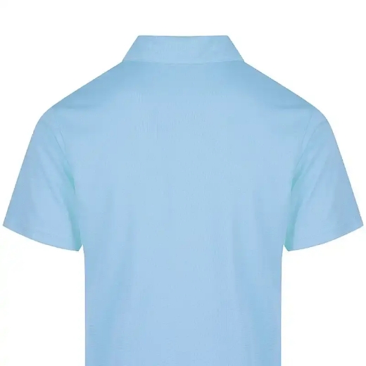 Picture of Aussie Pacific, Mens Botany Polo 