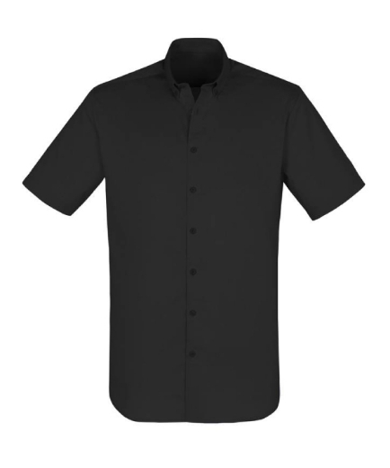Picture for category Business Shirt
